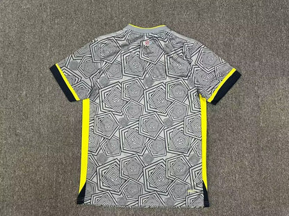 Lille 3de Shirt 24/25